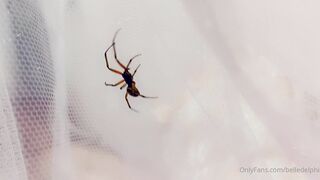 Belle Delphine (Belledelphine) Cosplay OnlyFans Leaks Girl Porn Video 1788