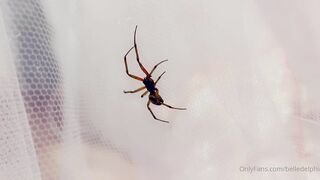 Belle Delphine (Belledelphine) Cosplay OnlyFans Leaks Girl Porn Video 1788