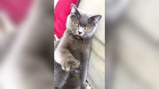 推特 2020Mrms 出軌日記 Naughty Cheating Diary 29