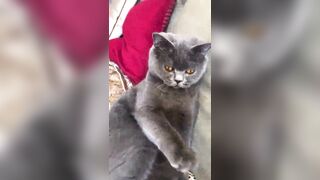 推特 2020Mrms 出軌日記 Naughty Cheating Diary 29