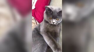 推特 2020Mrms 出軌日記 Naughty Cheating Diary 29