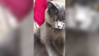 推特 2020Mrms 出軌日記 Naughty Cheating Diary 29