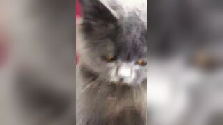 推特 2020Mrms 出軌日記 Naughty Cheating Diary 29