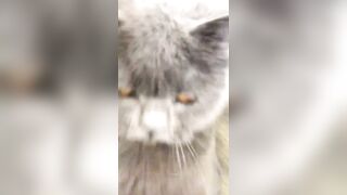 推特 2020Mrms 出軌日記 Naughty Cheating Diary 29