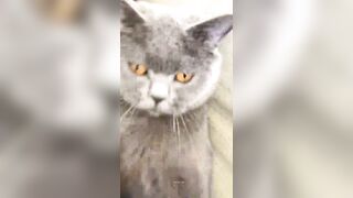 推特 2020Mrms 出軌日記 Naughty Cheating Diary 29