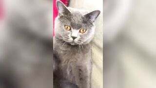 推特 2020Mrms 出軌日記 Naughty Cheating Diary 29