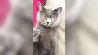 推特 2020Mrms 出軌日記 Naughty Cheating Diary 29