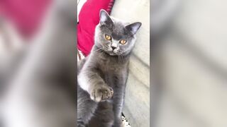 推特 2020Mrms 出軌日記 Naughty Cheating Diary 29