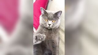 推特 2020Mrms 出軌日記 Naughty Cheating Diary 29