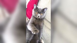 推特 2020Mrms 出軌日記 Naughty Cheating Diary 29