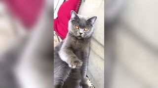 推特 2020Mrms 出軌日記 Naughty Cheating Diary 29