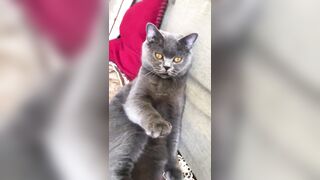 推特 2020Mrms 出軌日記 Naughty Cheating Diary 29