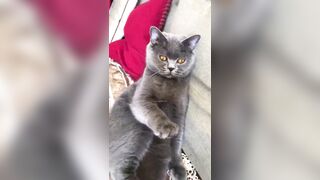 推特 2020Mrms 出軌日記 Naughty Cheating Diary 29