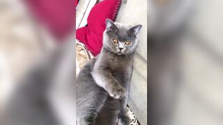 推特 2020Mrms 出軌日記 Naughty Cheating Diary 29