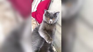 推特 2020Mrms 出軌日記 Naughty Cheating Diary 29