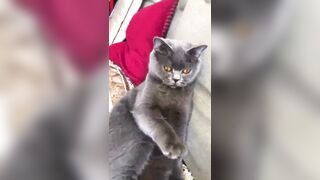 推特 2020Mrms 出軌日記 Naughty Cheating Diary 29