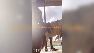 Charisma592 OnlyFans Leaked Big Ass Epony Amateur Porn Video 362