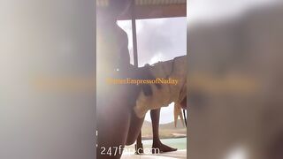 Charisma592 OnlyFans Leaked Big Ass Epony Amateur Porn Video 362