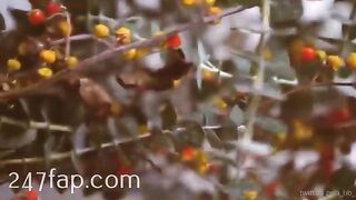 Zeta_bb OnlyFans/Twitter Leaked Model Grade Body Amateur Porn Video 102