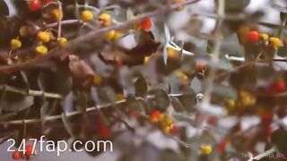 Zeta_bb OnlyFans/Twitter Leaked Model Grade Body Amateur Porn Video 102