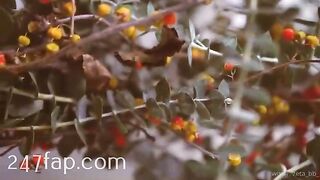 Zeta_bb OnlyFans/Twitter Leaked Model Grade Body Amateur Porn Video 102