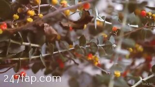 Zeta_bb OnlyFans/Twitter Leaked Model Grade Body Amateur Porn Video 102