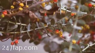 Zeta_bb OnlyFans/Twitter Leaked Model Grade Body Amateur Porn Video 102