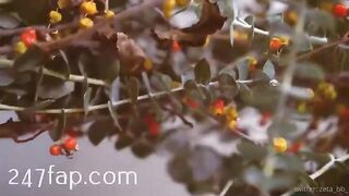 Zeta_bb OnlyFans/Twitter Leaked Model Grade Body Amateur Porn Video 102