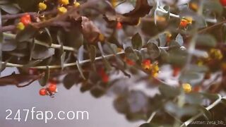 Zeta_bb OnlyFans/Twitter Leaked Model Grade Body Amateur Porn Video 102