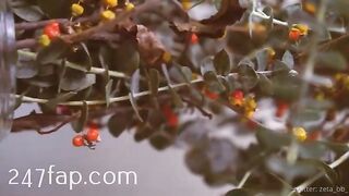 Zeta_bb OnlyFans/Twitter Leaked Model Grade Body Amateur Porn Video 102