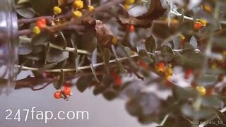 Zeta_bb OnlyFans/Twitter Leaked Model Grade Body Amateur Porn Video 102