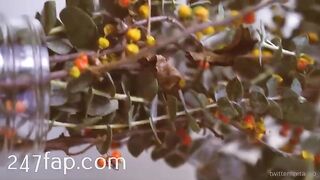 Zeta_bb OnlyFans/Twitter Leaked Model Grade Body Amateur Porn Video 102