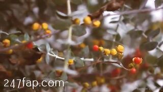 Zeta_bb OnlyFans/Twitter Leaked Model Grade Body Amateur Porn Video 102