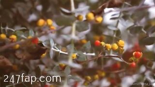 Zeta_bb OnlyFans/Twitter Leaked Model Grade Body Amateur Porn Video 102