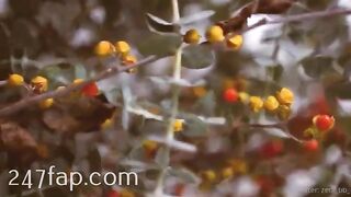 Zeta_bb OnlyFans/Twitter Leaked Model Grade Body Amateur Porn Video 102