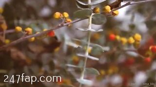 Zeta_bb OnlyFans/Twitter Leaked Model Grade Body Amateur Porn Video 102