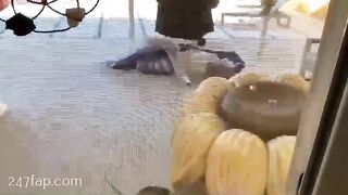 Adriana Chechik OnlyFans Leaked Big Mouth Busty Amateur Porn Video 33