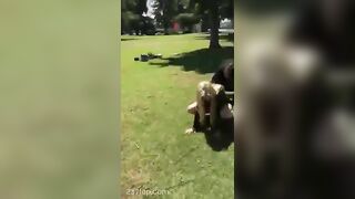 Adriana Chechik OnlyFans Leaked Big Mouth Busty Amateur Porn Video 87