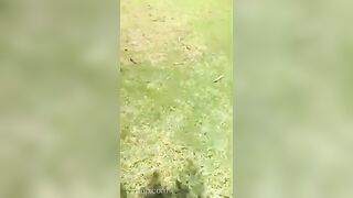 Adriana Chechik OnlyFans Leaked Big Mouth Busty Amateur Porn Video 87