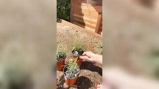 Adriana Chechik OnlyFans Leaked Big Mouth Busty Amateur Porn Video 179