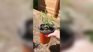 Adriana Chechik OnlyFans Leaked Big Mouth Busty Amateur Porn Video 179