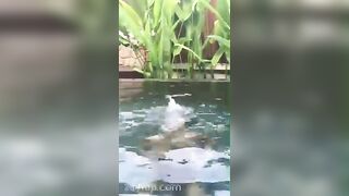 Adriana Chechik OnlyFans Leaked Big Mouth Busty Amateur Porn Video 348