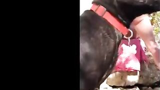 Adriana Chechik OnlyFans Leaked Big Mouth Busty Amateur Porn Video 373