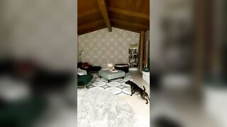 Adriana Chechik OnlyFans Leaked Big Mouth Busty Amateur Porn Video 407