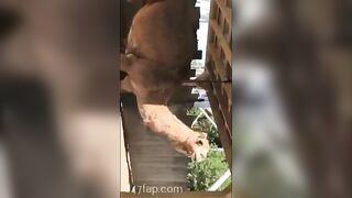 Adriana Chechik OnlyFans Leaked Big Mouth Busty Amateur Porn Video 432