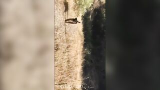 Adriana Chechik OnlyFans Leaked Big Mouth Busty Amateur Porn Video 436