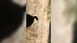 Adriana Chechik OnlyFans Leaked Big Mouth Busty Amateur Porn Video 436