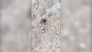 Adriana Chechik OnlyFans Leaked Big Mouth Busty Amateur Porn Video 436