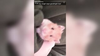 Belle Delphine (Belledelphine) Cosplay OnlyFans Leaks Girl Porn Video 1333