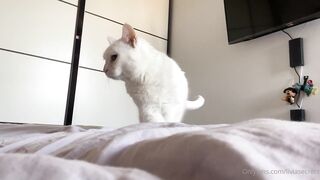 Callmeolivia00 (Olivia Quinn) OnlyFans Leaks Girl Porn Video 160